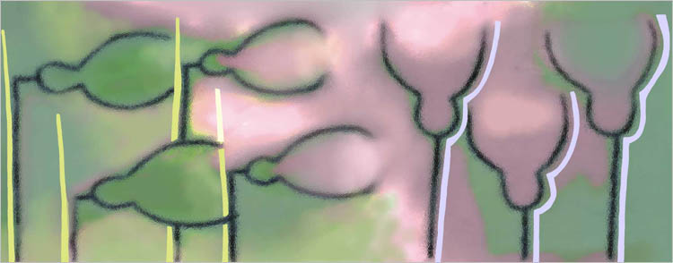 print 19